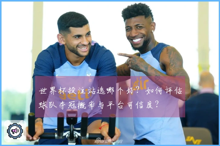 世界杯投注站选哪个好？如何评估球队夺冠概率与平台可信度？