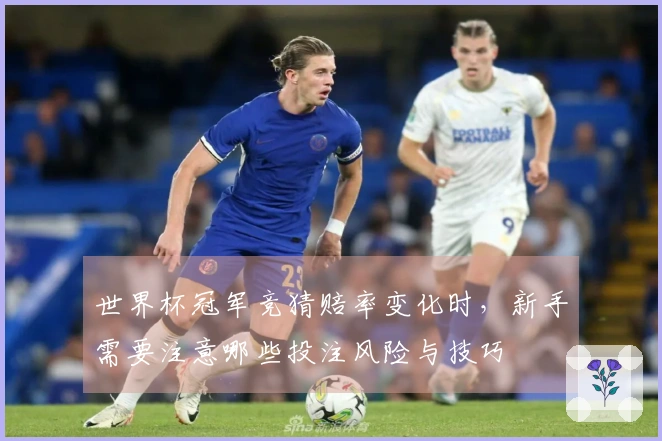世界杯冠军竞猜赔率变化时，新手需要注意哪些投注风险与技巧