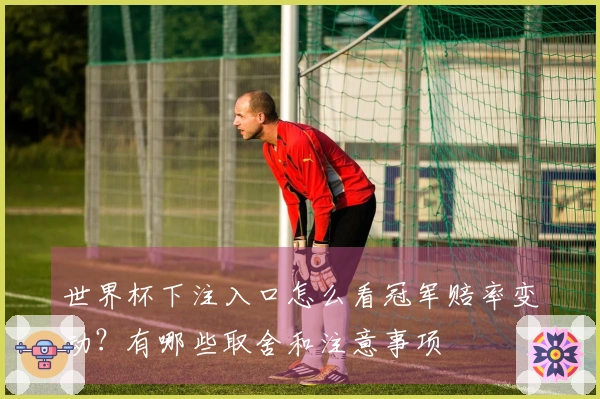 世界杯下注入口怎么看冠军赔率变动？有哪些取舍和注意事项