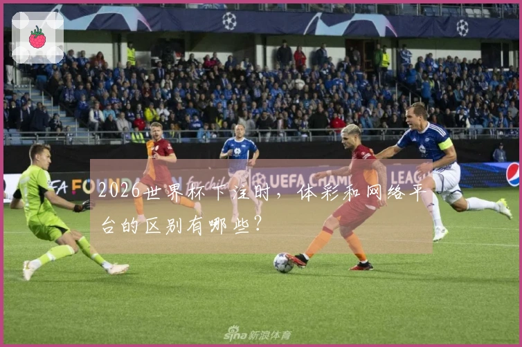 2026世界杯下注时，体彩和网络平台的区别有哪些？