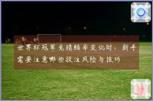 世界杯冠军竞猜赔率变化时，新手需要注意哪些投注风险与技巧